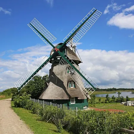Puehler - Amsel * Kronsgaard