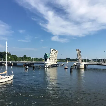 Puehler - Amsel * Kronsgaard