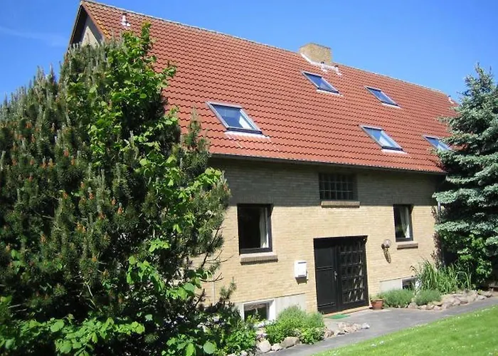 Puehler - Amsel * Kronsgaard